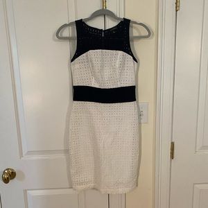 The Limited Navy Blue/White Eyelet Color-block Lined Dress